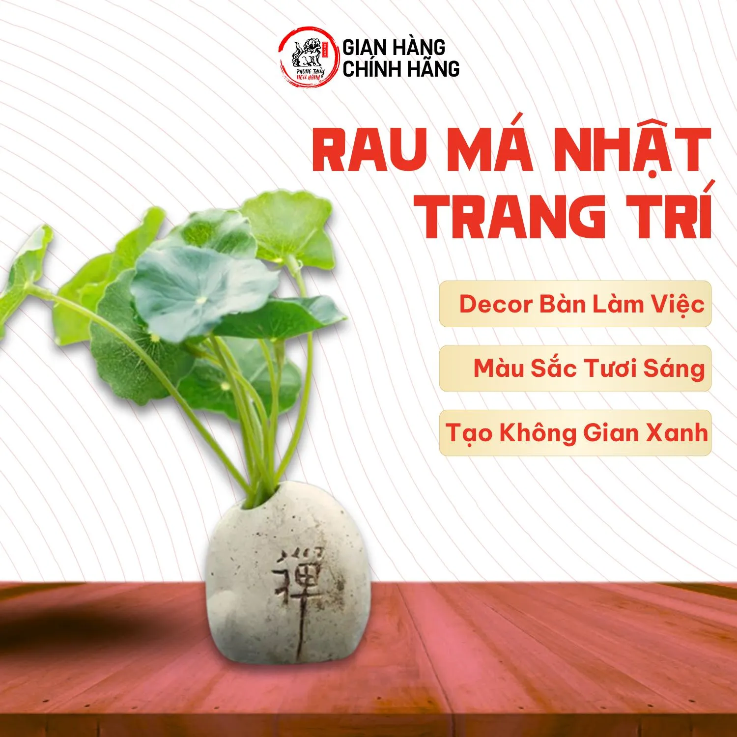 Cây Rau Má Nhật lá tròn giả trang trí tiểu cảnh - Hoa lá sen nhí giả trang trí tiểu cảnh, ô tô | Phong Thủy Ngũ Hành